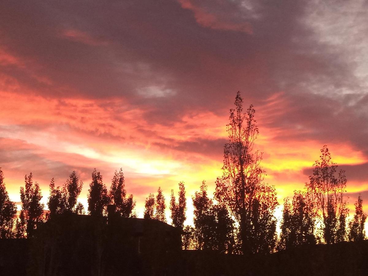 Cielos Patagonicos Aparts El Calafate Bagian luar foto